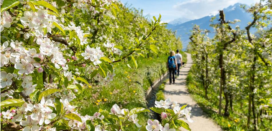 Der Marlinger Waalweg