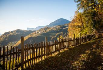 Camminare in autunno nella regione di Lana a Merano e dintorni