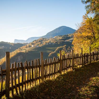 Camminare in autunno nella regione di Lana a Merano e dintorni