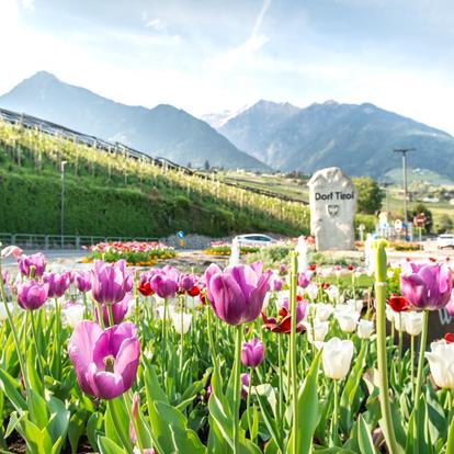 Anreise mit dem Auto nach Dorf Tirol