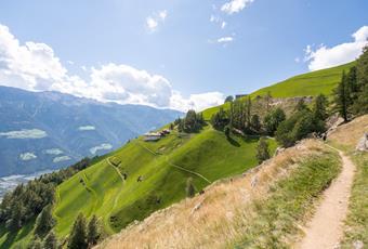 Hiking Area Naturns