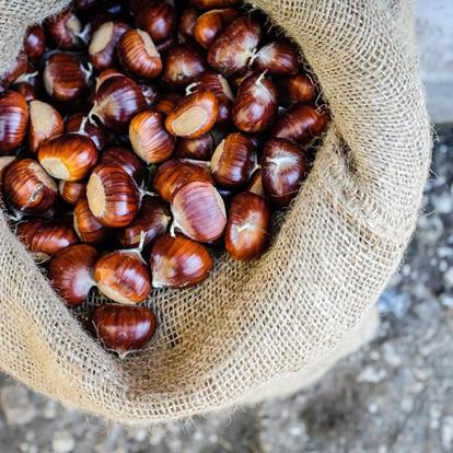 Castagnata e autunno a Tesimo - Prissiano