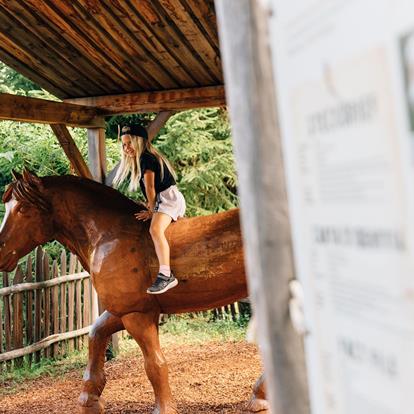 Il Sentiero avventura Haflinger