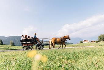 Gite in carrozza