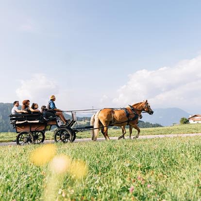 Kutschenfahrt in Südtirol: Hafling, Vöran & Meran 2000