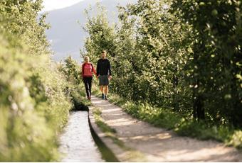 Wandern am Marlinger Waalweg