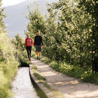 Wandern am Marlinger Waalweg