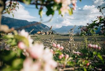 Primavera a Tirolo