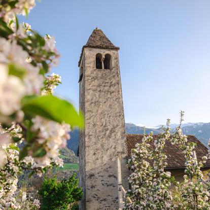 Chiesetta di San Procolo e Museo