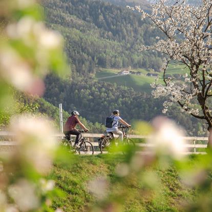 La pista ciclabile della Val Venosta