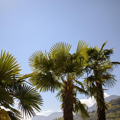 Lana verbindet. Urlaub und Heimat.