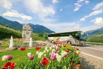 Reach Tirolo by bus