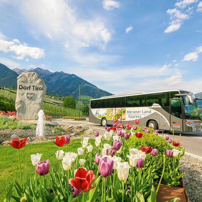 Reach Tirolo by bus