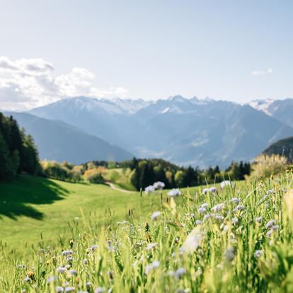 Wandern mit Kindern in Hafling, Vöran und Meran 2000