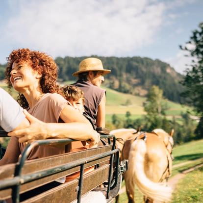 Kutschenfahrt in Südtirol: Hafling, Vöran & Meran 2000