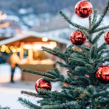 Upcycling degli alberi di Natale per una buona causa