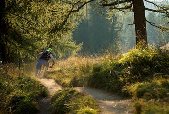 Mountainbike in Naturns