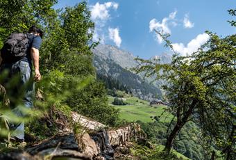 Hiking in Parcines