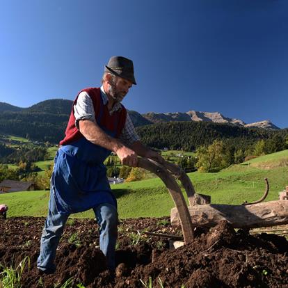 Pura Qualità in Montagna