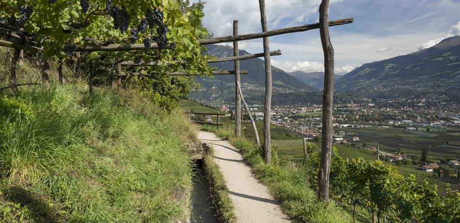 De langste wandelroute