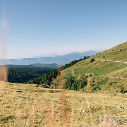 Gemeinsam für einen nachhaltigen Tschögglberg