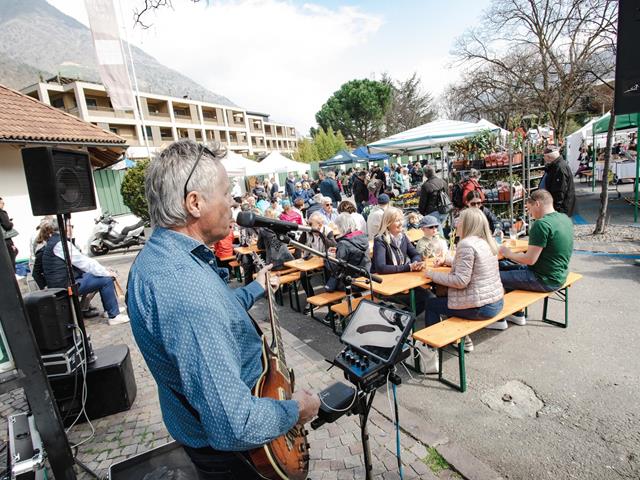 fruehlingsfest-2024-musiker-leute-tg-naturns-fotostudio-2000-84