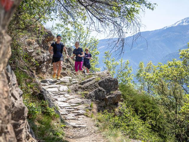 women-trail-hike-days-2023-trailrun-wegmarkierung-sonnenberg-tg-naturns-santer-peter-195