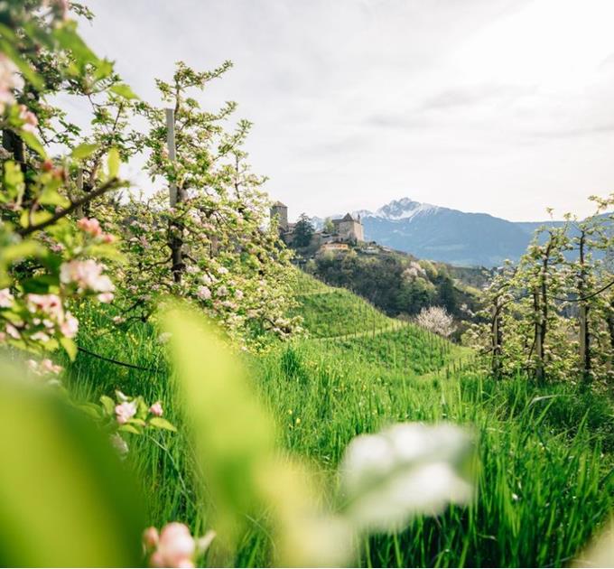 Dorf Tirol - Tirolo