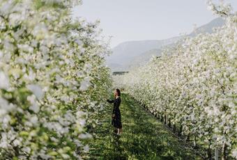 Lana in Bloom