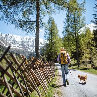 Vacanze con il cane nella Val Passiria