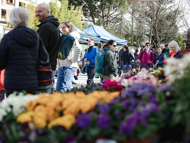 fruehlingsfest-2024-blumen-menschen-tg-naturns-fotostudio-2000-28